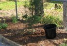 Campbelltown NSWorganic-gardening-6.jpg; ?>